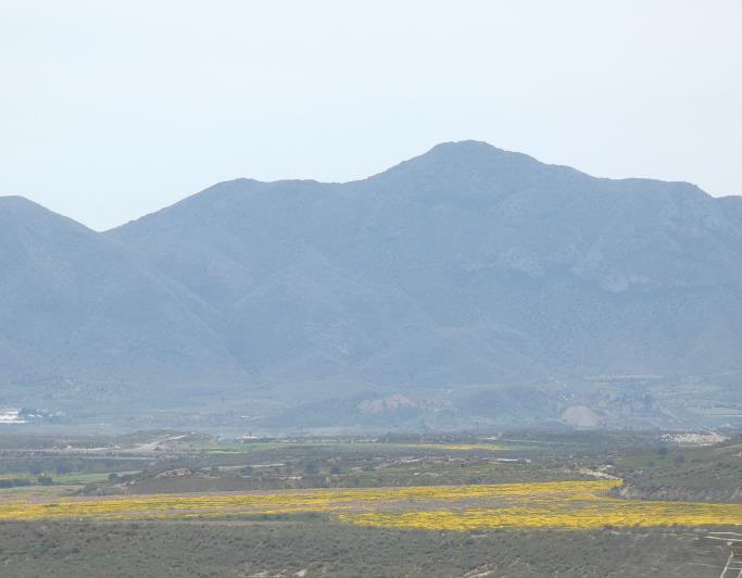 Image No.42-Village House for sale