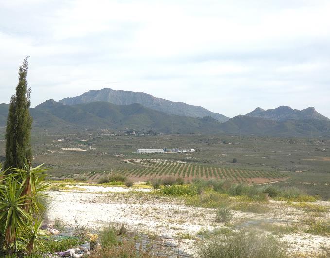 Image No.48-Village House for sale