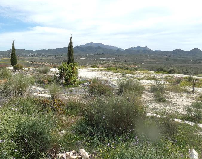 Image No.49-Village House for sale