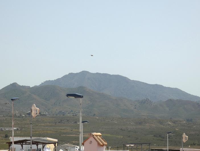 Image No.42-3 Bed Villa for sale