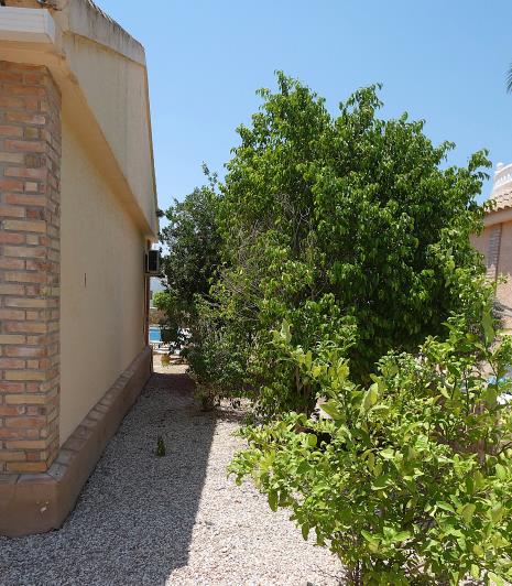 Image No.57-Villa / Détaché de 3 chambres à vendre à Camposol