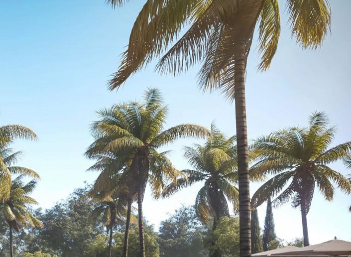 Image No.23-4 Bed Apartment for sale