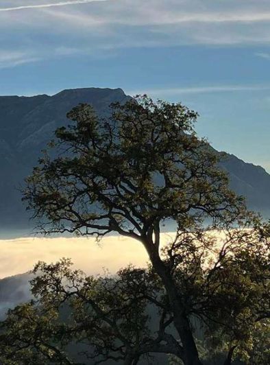 Image No.27-Villa de 5 chambres à vendre à Marbella