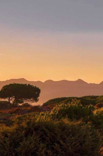 Image No.25-5 Bed Villa for sale