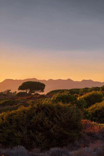 Image No.8-5 Bed Villa for sale