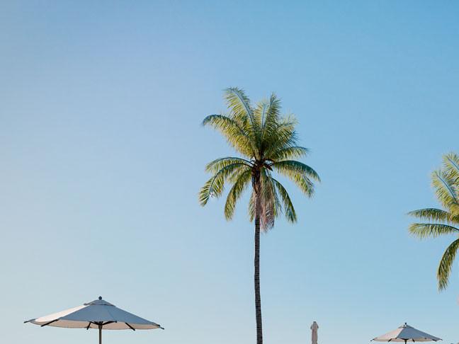 Image No.18-3 Bed Apartment for sale