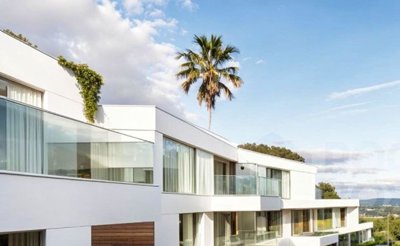 fpizr6qufmoyhx81iqawaw1j