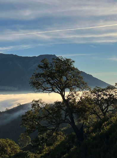 Image No.9-5 Bed Villa for sale