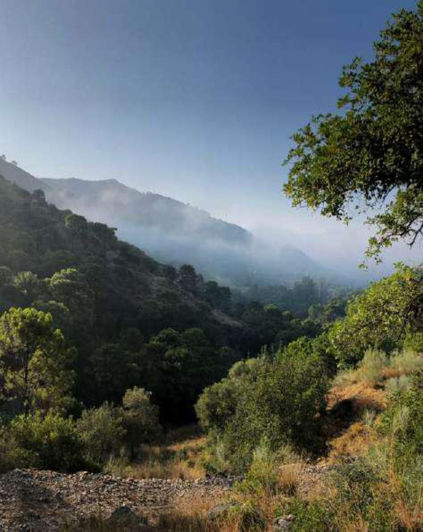 Image No.10-5 Bed Villa for sale