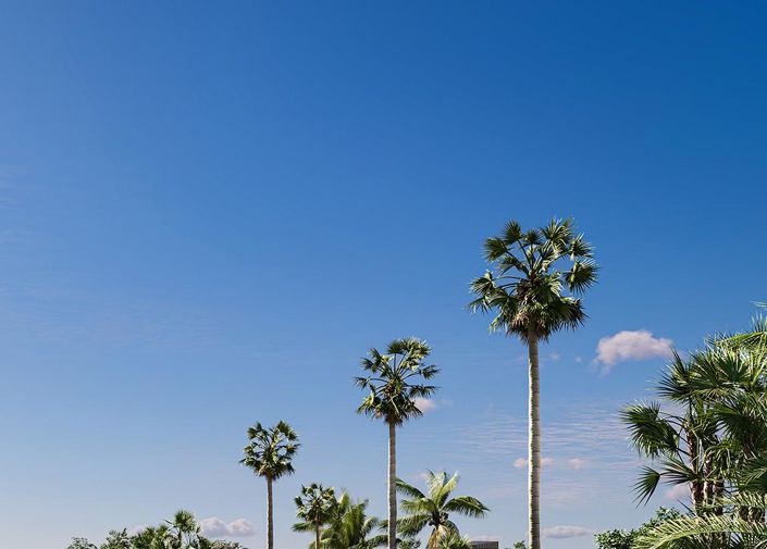 Image No.15-3 Bed Apartment for sale