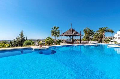 b98le8d7m9k3degpefzhs0lif8u4xzvzhwxtmggyekxx9