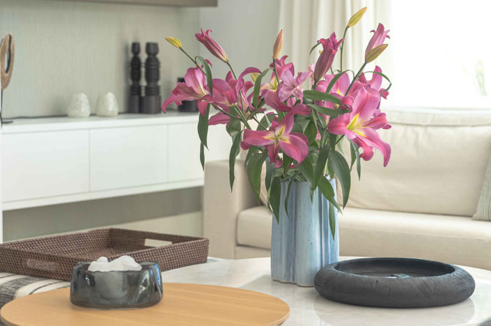 Image No.17-5 Bed Villa for sale