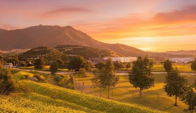 kpkzbtxvyedrdezwgw4cursg