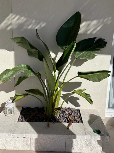 Image No.24-Maison / Villa de 3 chambres à vendre à Abanilla