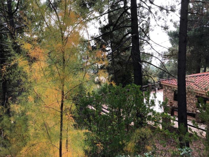 Image No.16-Maison de campagne de 3 chambres à vendre à Albacete