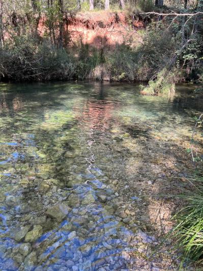 Image No.23-Maison de campagne de 3 chambres à vendre à Albacete