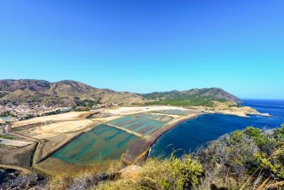 WhatsApp-Image-2024-08-17-at-7-18-48-PM--2-