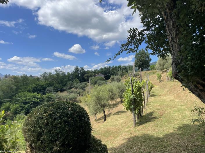 Image No.6-Ferme de 4 chambres à vendre à Barga