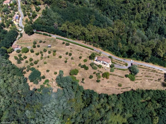 Image No.3-Ferme de 4 chambres à vendre à Barga