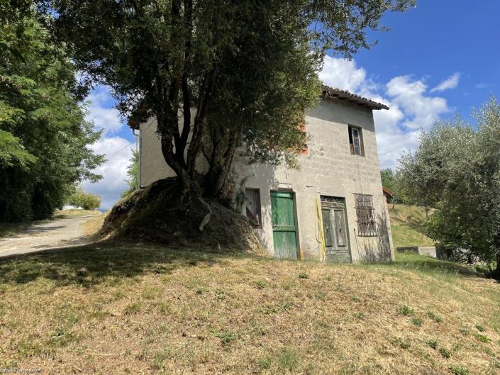 Image No.19-Ferme de 4 chambres à vendre à Barga