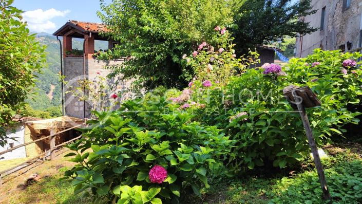 Image No.28-2 Bed Chalet for sale