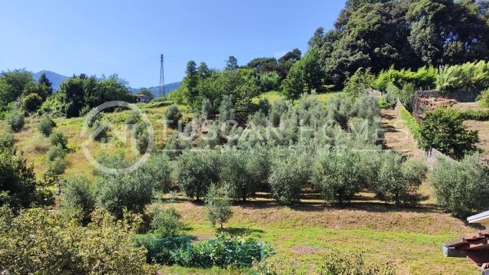 Image No.31-4 Bed Villa for sale