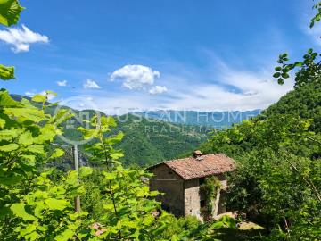 2286-WEB-nuove--33-
