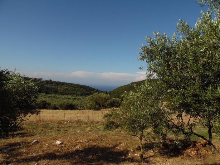 Image No.4-Terre à vendre à Zante