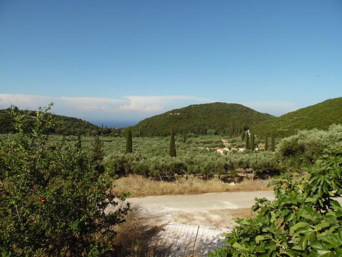 Image No.7-Terre à vendre à Zante