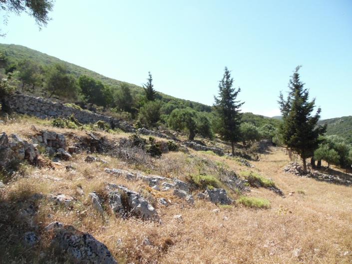 Image No.8-Terre à vendre à Zante