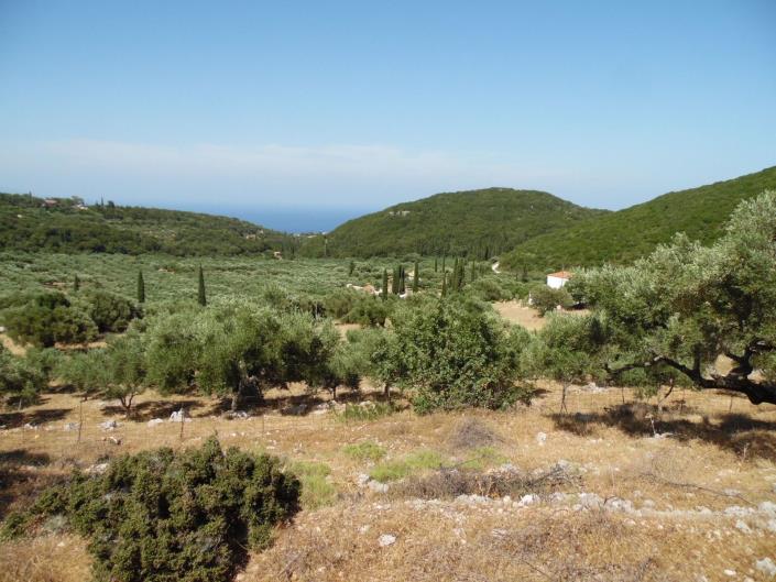 Image No.9-Terre à vendre à Zante