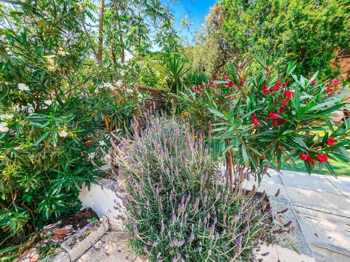 Image No.10-Maison de 2 chambres à vendre à Zante