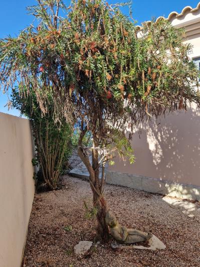 Image No.25-1 Bed Villa for sale