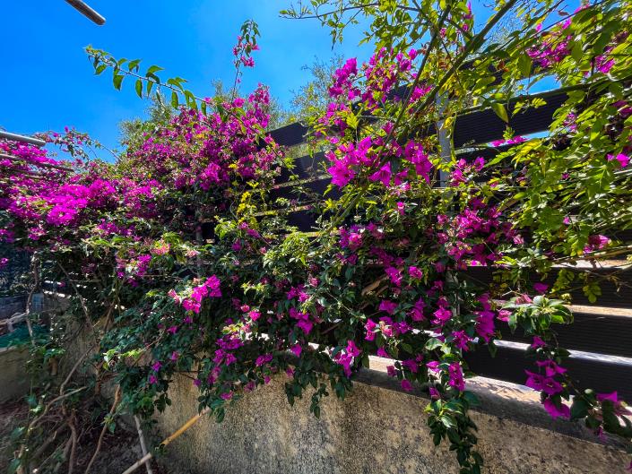 Image No.18-3 Bed House for sale