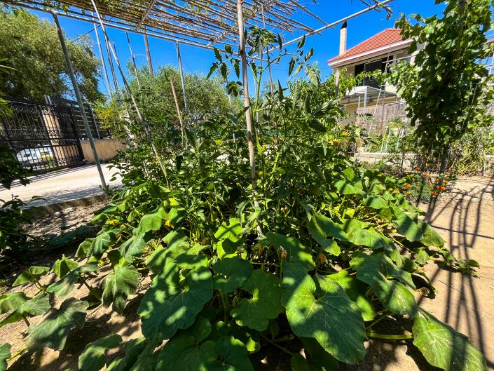 Image No.19-3 Bed House for sale