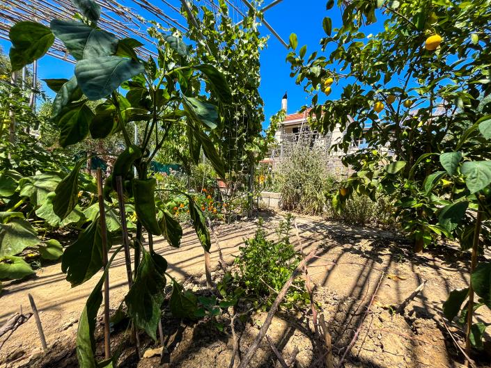 Image No.20-3 Bed House for sale