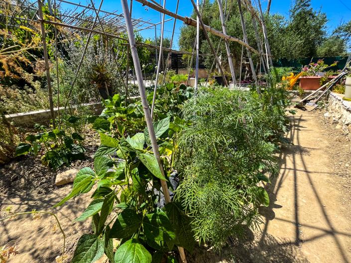 Image No.21-3 Bed House for sale