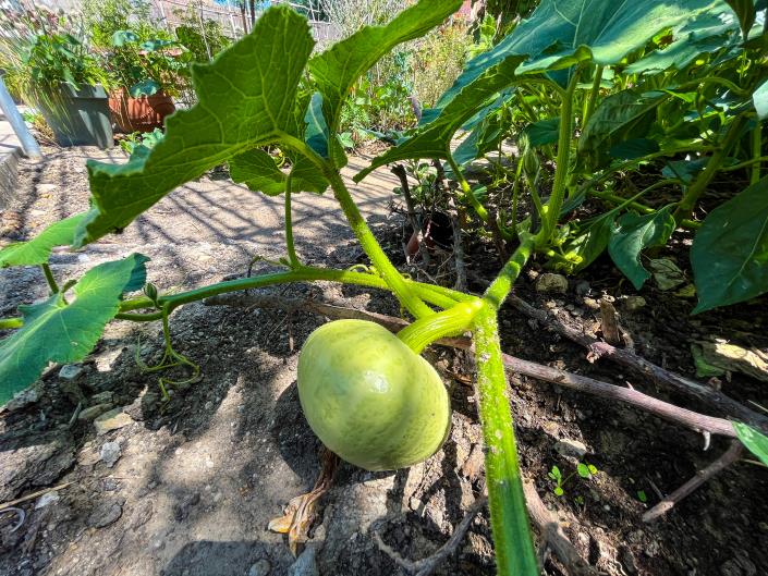 Image No.23-3 Bed House for sale