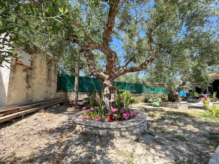 Image No.24-3 Bed House for sale