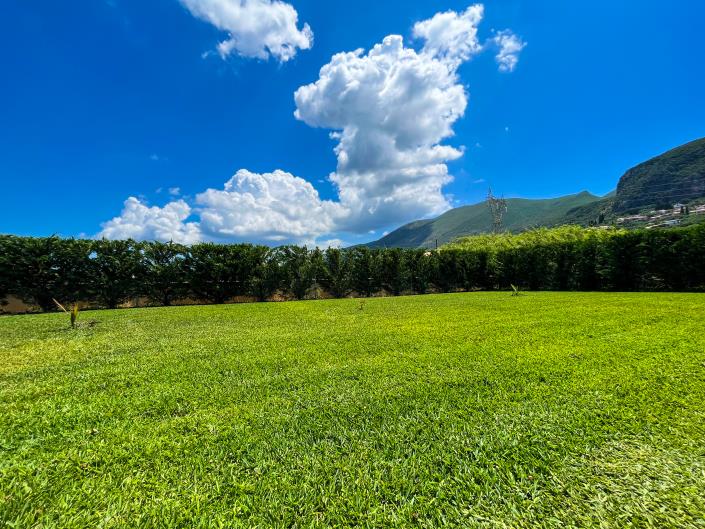 Property for sale in Ionian islands 859 properties A Place in the Sun