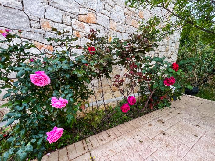 Image No.30-Villa de 3 chambres à vendre à Zante