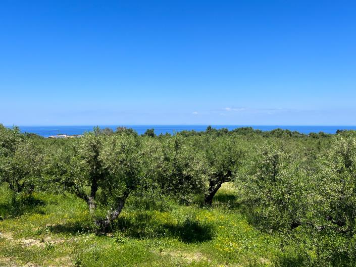 Image No.2-5 Bed Villa / Detached for sale