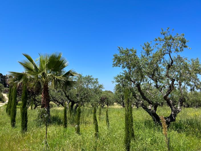 Image No.11-5 Bed Villa / Detached for sale