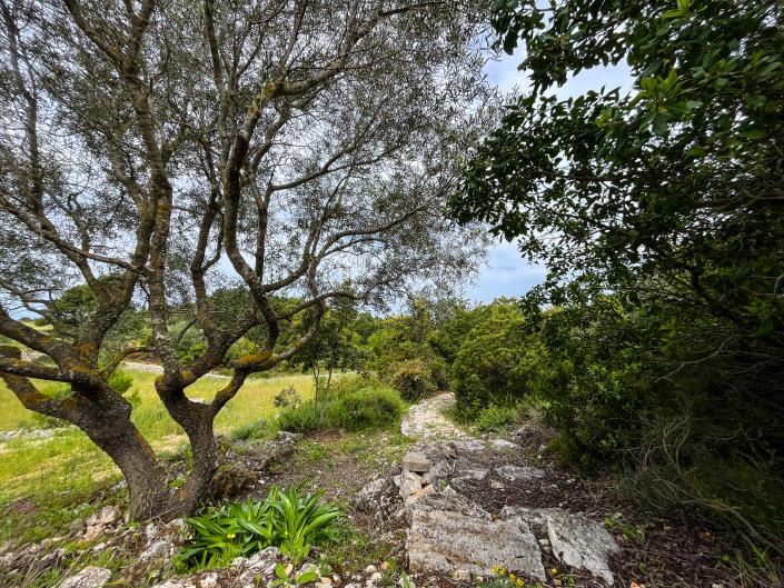 Image No.11-3 Bed Villa / Detached for sale