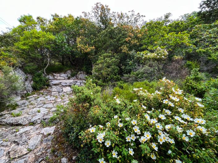 Image No.13-3 Bed Villa / Detached for sale