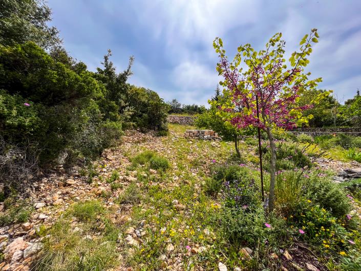 Image No.14-3 Bed Villa / Detached for sale