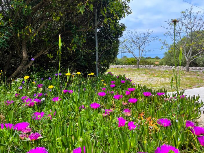 Image No.37-3 Bed Villa / Detached for sale