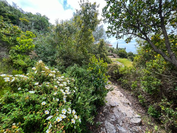 Image No.43-3 Bed Villa / Detached for sale