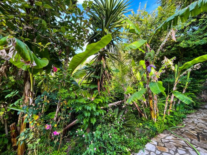 Image No.50-5 Bed Villa for sale