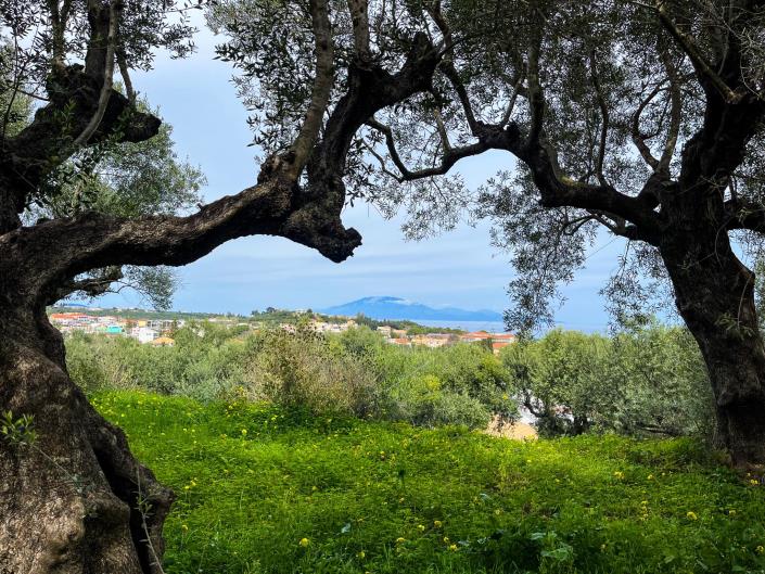 Image No.6-Maisonette de 2 chambres à vendre à Zante